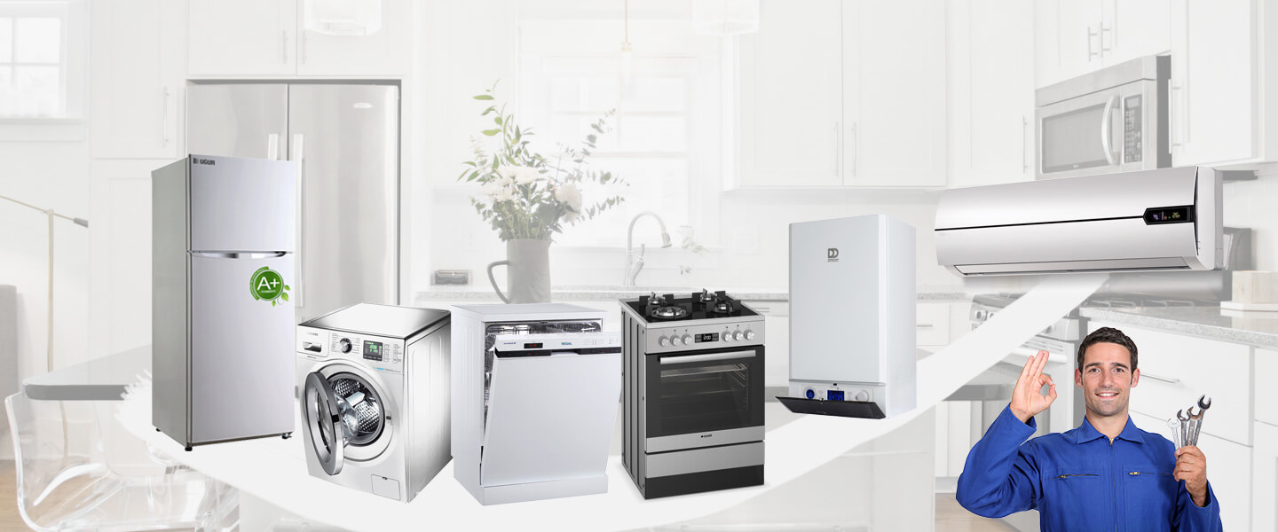 Çamaş Electrolux Servisi
